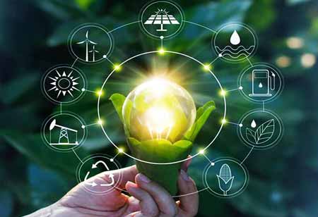 Building a Green Economy through Sustainable Practices and Innovations